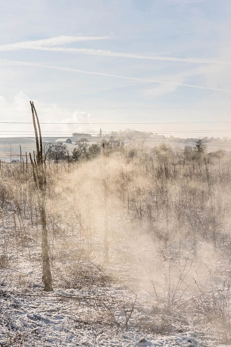 In the Penal Colony © GTG / Matthieu Gafsou