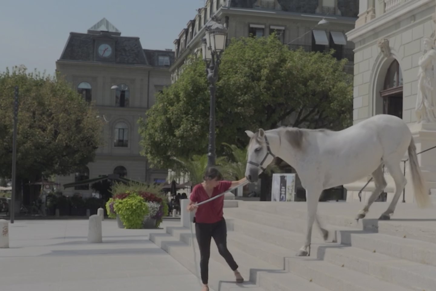 Un cheval au GTG